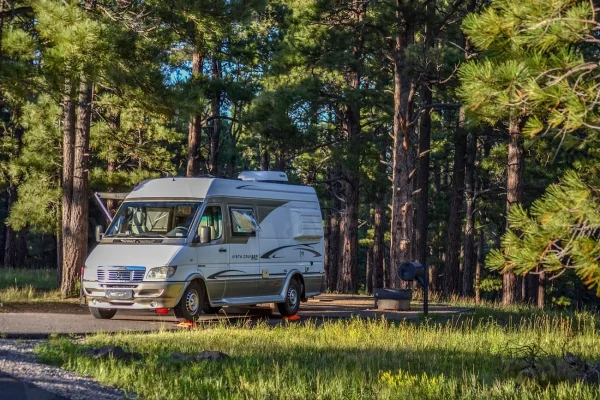 Camper van parked at a pine forest campsite