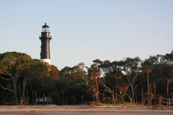 Hunting Island Lighthouse rising above the maritime forest at Hunting Island State Park