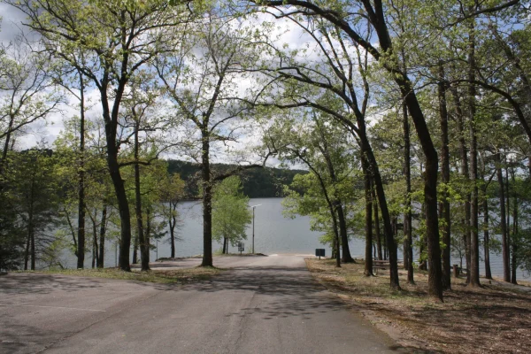 Paved boat ramp running through oak trees down to a lake