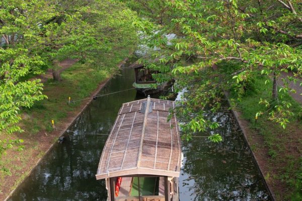 murrells inlet marshwalk (1)